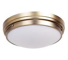 Bowl Flush Mounts